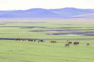 永信贵宾会·217(中国区)官方网站