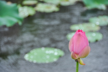 永信贵宾会·217(中国区)官方网站