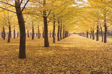 永信贵宾会·217(中国区)官方网站