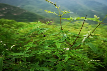 永信贵宾会·217(中国区)官方网站