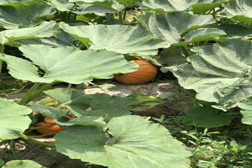 永信贵宾会·217(中国区)官方网站