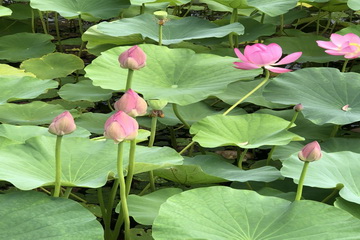 永信贵宾会·217(中国区)官方网站