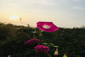 永信贵宾会·217(中国区)官方网站