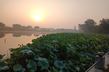 永信贵宾会·217(中国区)官方网站