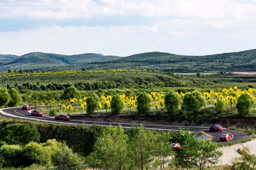 永信贵宾会·217(中国区)官方网站