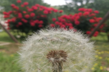 永信贵宾会·217(中国区)官方网站