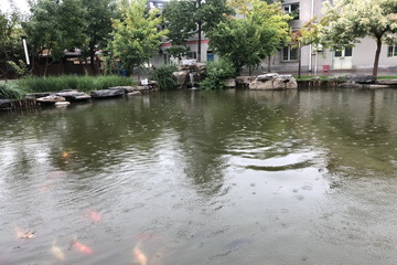 永信贵宾会·217(中国区)官方网站