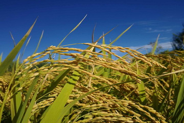 永信贵宾会·217(中国区)官方网站