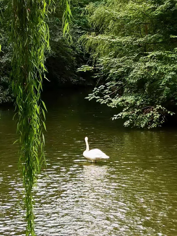 永信贵宾会·217(中国区)官方网站