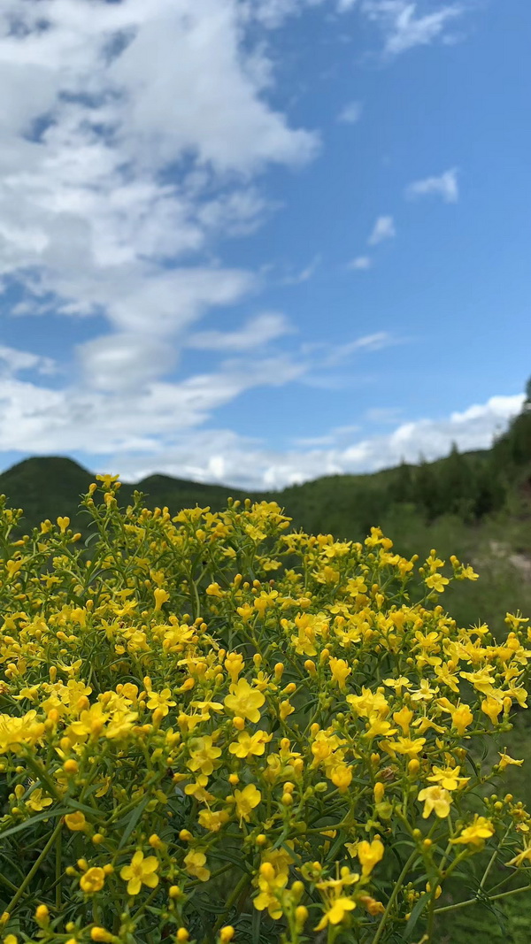 永信贵宾会·217(中国区)官方网站