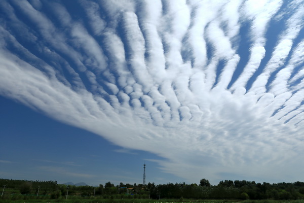 永信贵宾会·217(中国区)官方网站