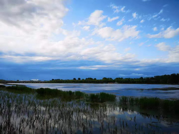 永信贵宾会·217(中国区)官方网站