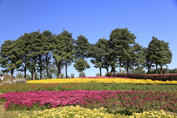 永信贵宾会·217(中国区)官方网站