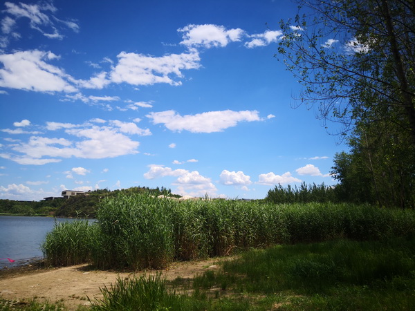 永信贵宾会·217(中国区)官方网站