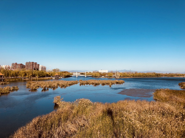 永信贵宾会·217(中国区)官方网站