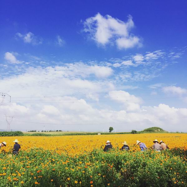 永信贵宾会·217(中国区)官方网站