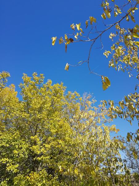 永信贵宾会·217(中国区)官方网站