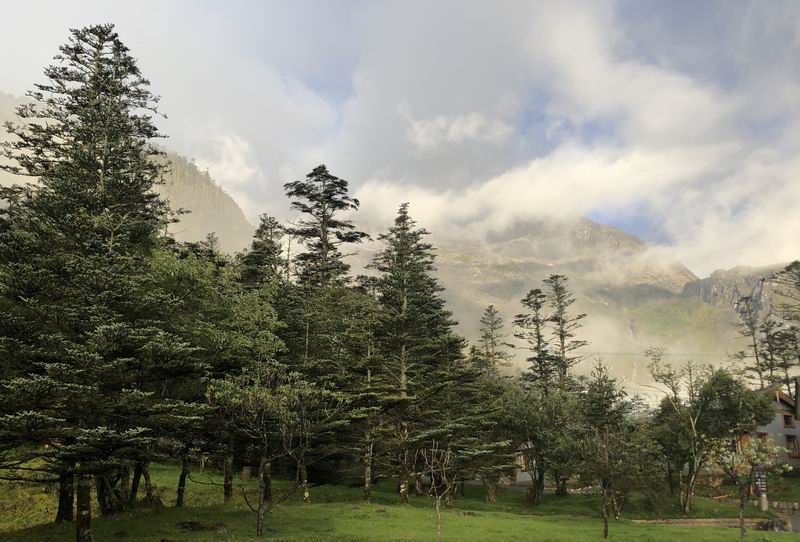 永信贵宾会·217(中国区)官方网站