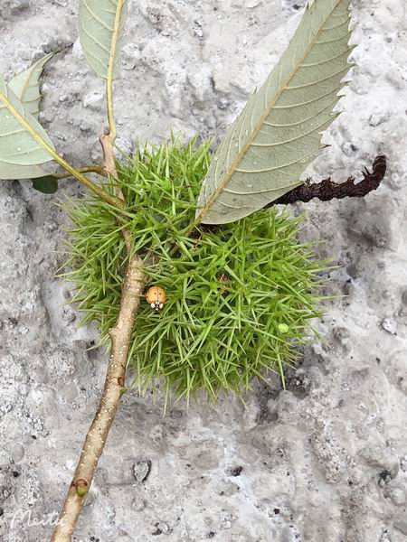 永信贵宾会·217(中国区)官方网站