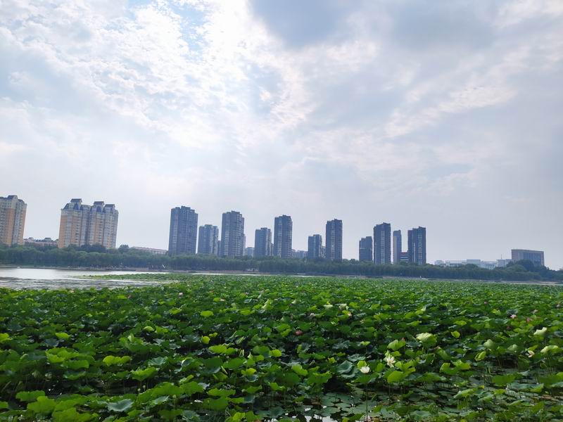 永信贵宾会·217(中国区)官方网站