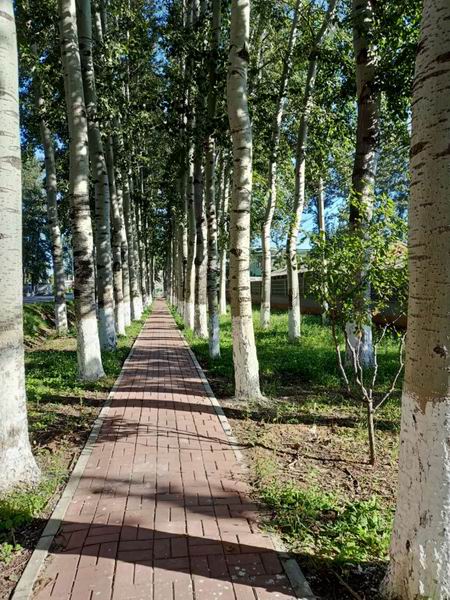 永信贵宾会·217(中国区)官方网站