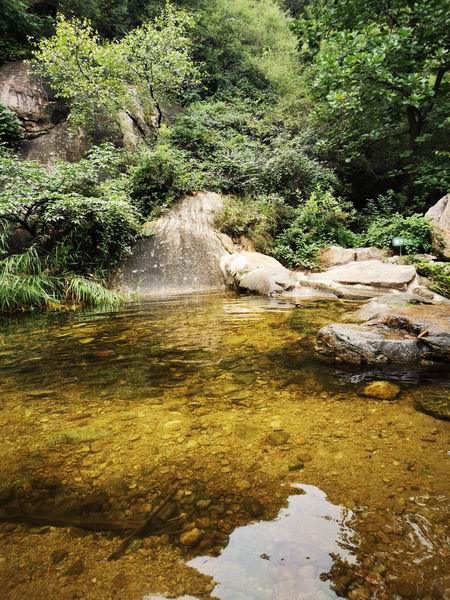 永信贵宾会·217(中国区)官方网站