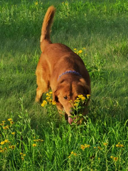 永信贵宾会·217(中国区)官方网站