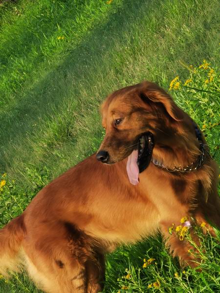 永信贵宾会·217(中国区)官方网站