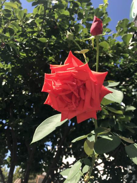 永信贵宾会·217(中国区)官方网站