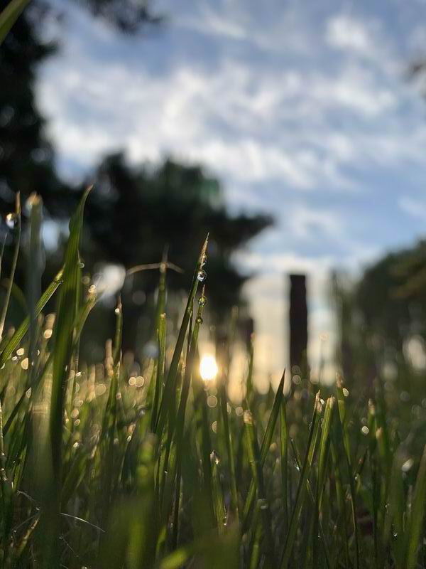 永信贵宾会·217(中国区)官方网站