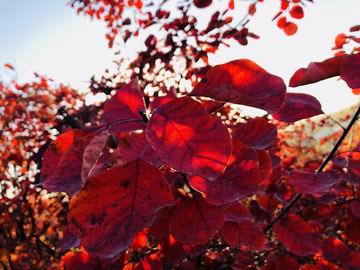 永信贵宾会·217(中国区)官方网站