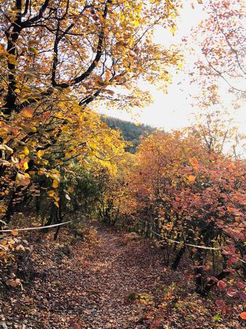 永信贵宾会·217(中国区)官方网站