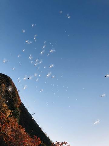 永信贵宾会·217(中国区)官方网站