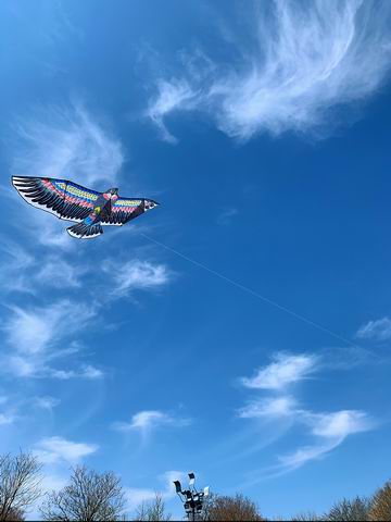 永信贵宾会·217(中国区)官方网站