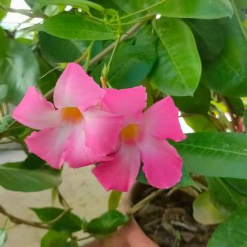 永信贵宾会·217(中国区)官方网站