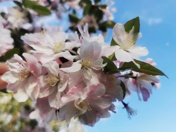 永信贵宾会·217(中国区)官方网站