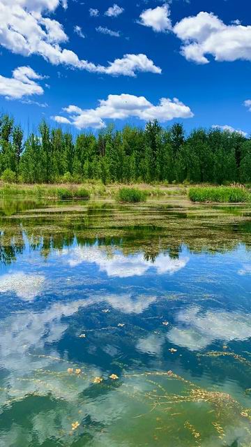 永信贵宾会·217(中国区)官方网站