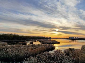 永信贵宾会·217(中国区)官方网站