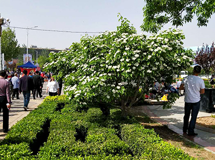 永信贵宾会·217(中国区)官方网站