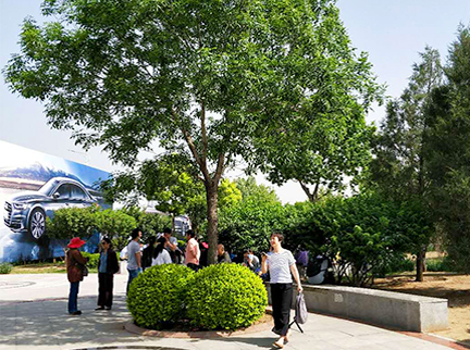 永信贵宾会·217(中国区)官方网站