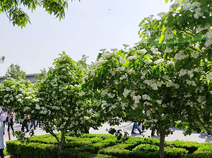 永信贵宾会·217(中国区)官方网站