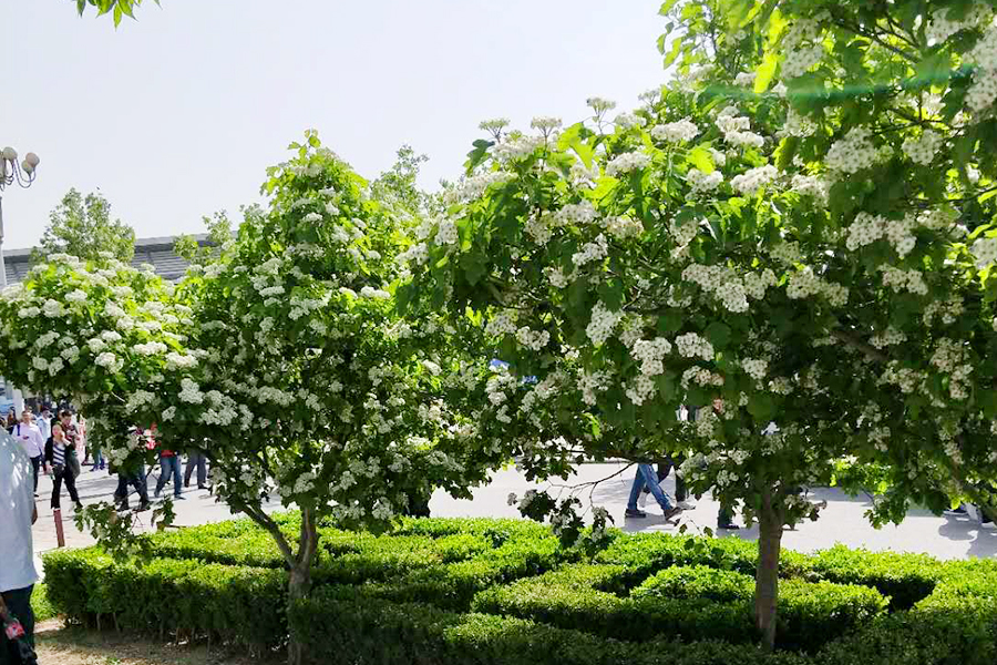 永信贵宾会·217(中国区)官方网站