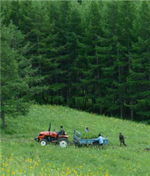 永信贵宾会·217(中国区)官方网站