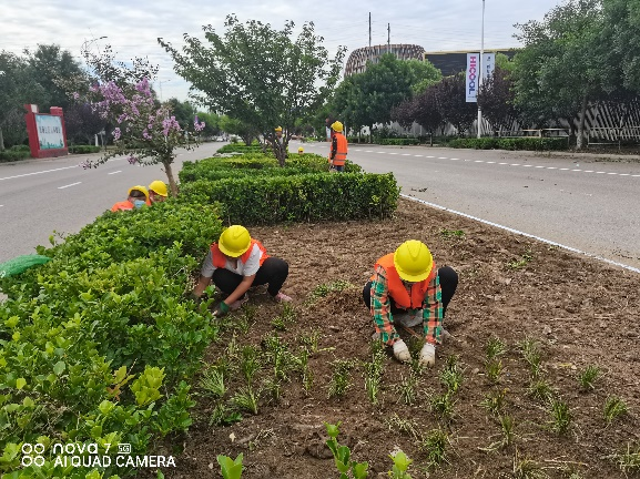 永信贵宾会·217(中国区)官方网站