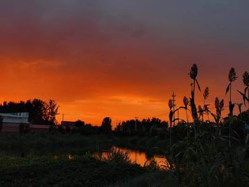 永信贵宾会·217(中国区)官方网站