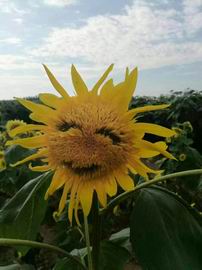 永信贵宾会·217(中国区)官方网站