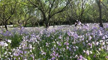 永信贵宾会·217(中国区)官方网站