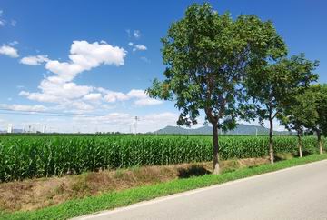 永信贵宾会·217(中国区)官方网站