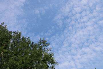 永信贵宾会·217(中国区)官方网站