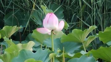 永信贵宾会·217(中国区)官方网站